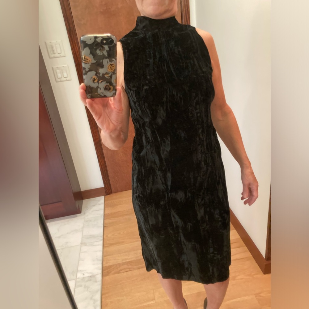 Anna Sui crushed velvet dress